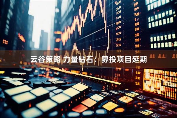 云谷策略 力量钻石：募投项目延期