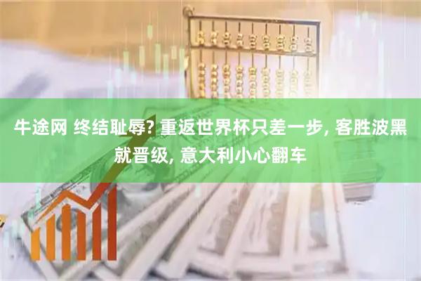 牛途网 终结耻辱? 重返世界杯只差一步, 客胜波黑就晋级, 意大利小心翻车