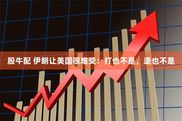 股牛配 伊朗让美国很难受：打也不是，退也不是